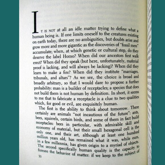 Book: Other People's Trades by Primo Levi, Translated by Raymond Rosenthal - Picture 4 of 14